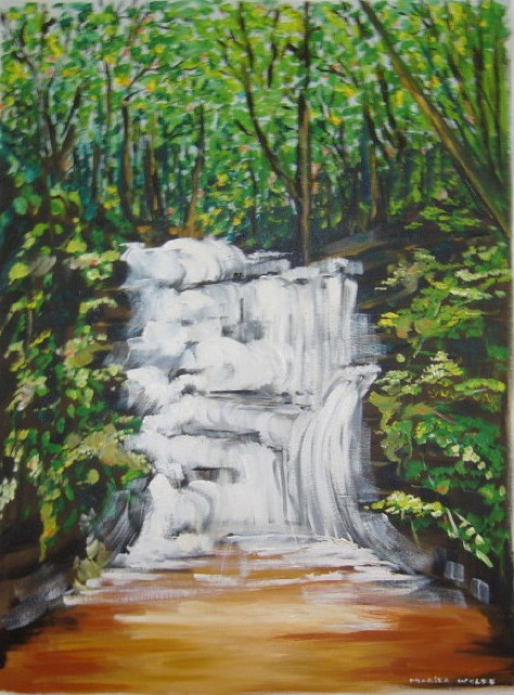 2007_Cachoeira_da_Pedra_da_Lua
